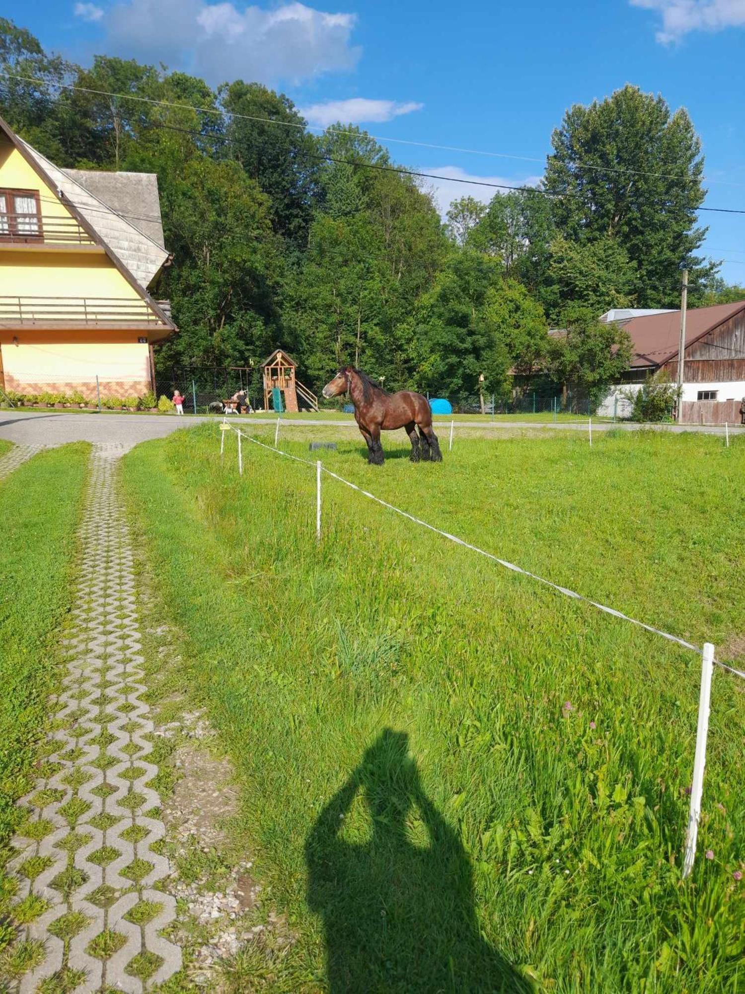 Zakatek Pienin Lägenhet Grywald Exteriör bild